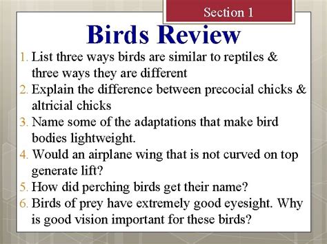 list three ways that birds are similar to reptiles